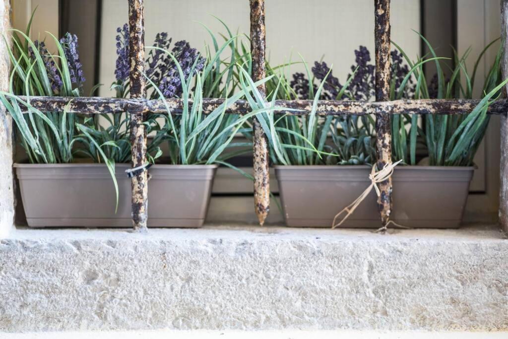 דירות Corfu  Paravento Lux Studio מראה חיצוני תמונה